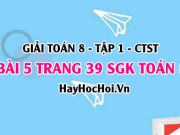 Giải bài 5 trang 39 Toán 8 Tập 1 SGK Chân trời sáng tạo